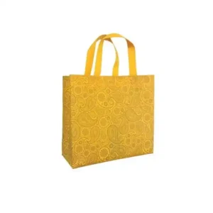 ساک کاربردی