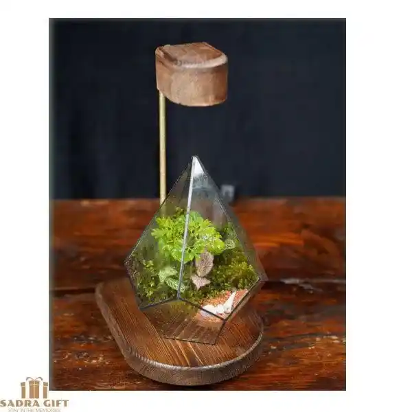 terarium-dimond-sun تراریوم دایموند با استند نور
